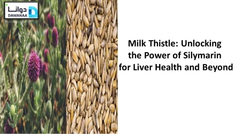 Milk Thistle: Unlocking the Power of Silymarin for Liver Health and Beyond