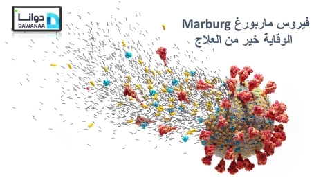 فيروس ماربورغ Marburg الوقاية خير من العلاج.